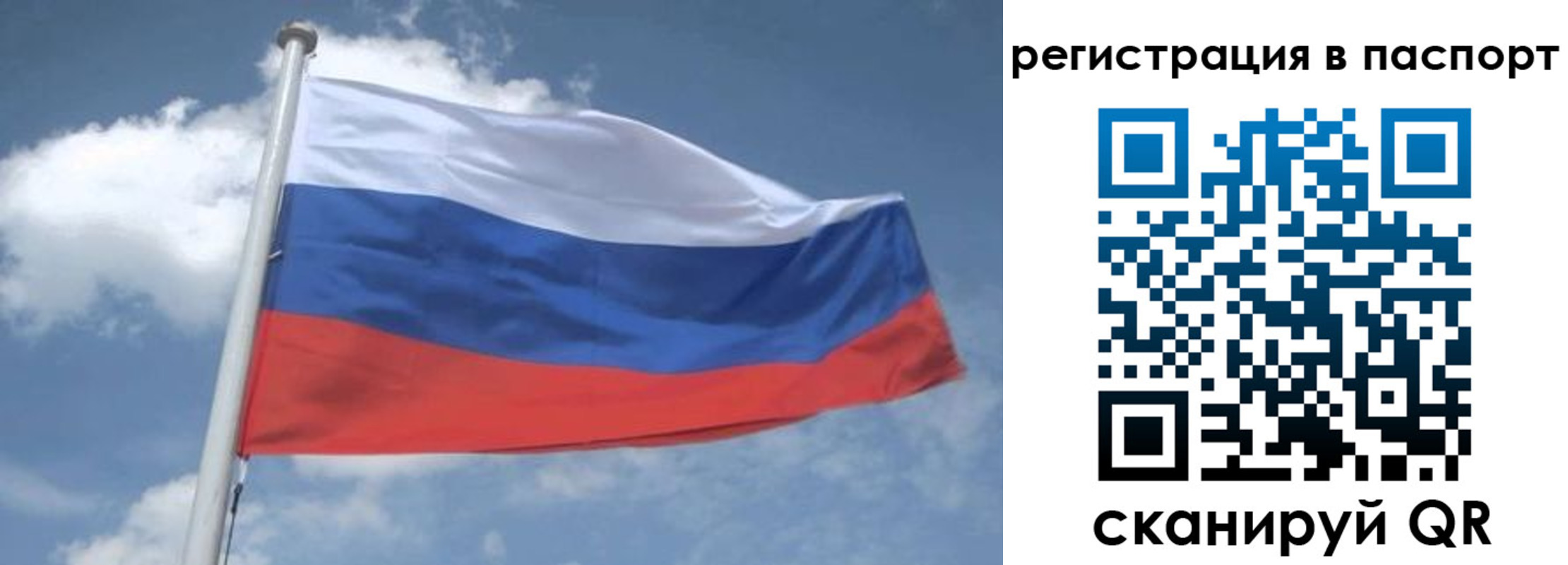 временная регистрация надежно в Кандалакше